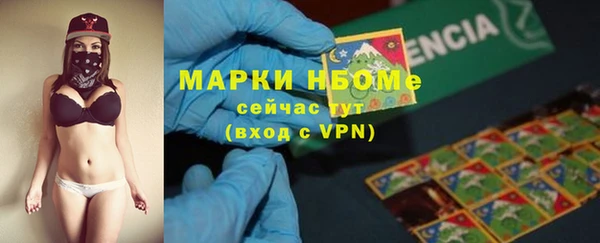 гашик Россошь
