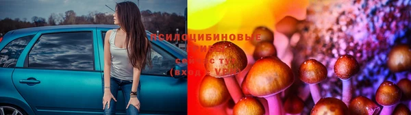 не бодяженный Абинск